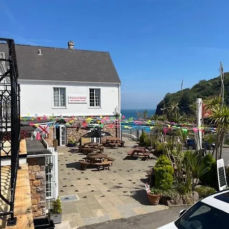 The Of Wales