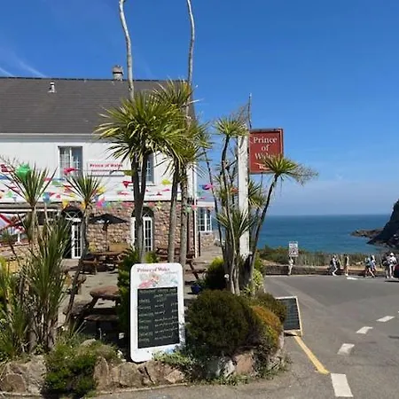 بيت ريفي The Of Wales
