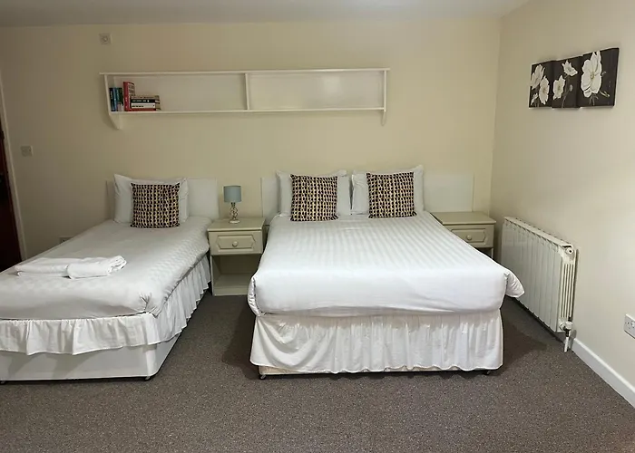 The Of Wales Mini-hôtel